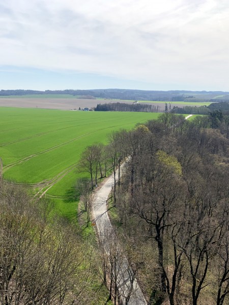 Pohled šikmo shora na pole a les oddělené cestou. Vše pod mírně zataženou oblohou.